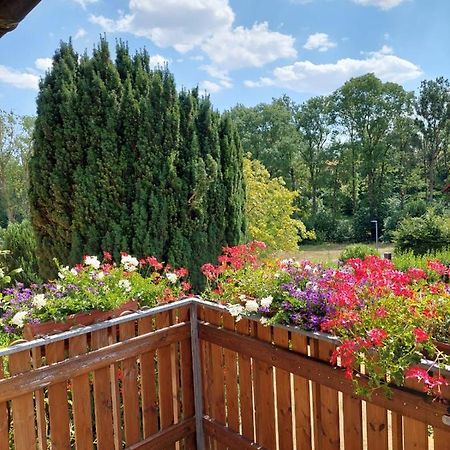Ferienwohnung Meissner Bad Rodach Dış mekan fotoğraf
